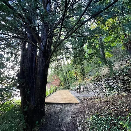 Chateau Constance, 19 Personnes Villa La Roche-en-Ardenne